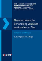 ISBN 9783816935223: Thermochemische Behandlung von Eisenwerkstoffen im Gas - Verfahren und Anlagen