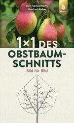 ISBN 9783818609504: 1 x 1 des Obstbaumschnitts