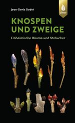 ISBN 9783818609641: Knospen und Zweige | Einheimische Bäume und Sträucher | Jean-Denis Godet | Buch | Ulmers Naturführer | 432 S. | Deutsch | 2020 | Eugen Ulmer KG | EAN 9783818609641