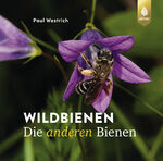 ISBN 9783818620868: Wildbienen, die anderen Bienen | Paul Westrich | Buch | 208 S. | Deutsch | 2024 | Ulmer Eugen Verlag | EAN 9783818620868