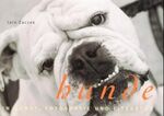 ISBN 9783822863855: Hunde – Hunde in Kunst, Fotografie und Literatur