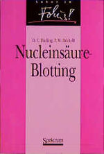 ISBN 9783827400505: Nucleinsäure Blotting / D. C. Darling und P. M. Brickell. Aus dem Engl. übers. von Renate Pollwein / Labor im Fokus