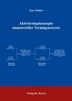 ISBN 9783830024095: Aktivierungskonzepte immaterieller Vermögenswerte (Schriften zum Betrieblichen Rechnungswesen und Controlling) Schütte, Jens