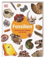 ISBN 9783831044610: Fossilien - Entdecke die Schätze der Urzeit. Fossilien-Lexikon. Für Kinder ab 6 Jahren