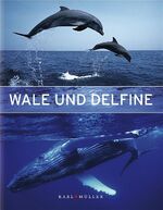 ISBN 9783833601323: Wale und Delfine