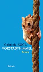 ISBN 9783835308442: vorstadthimmel. roman