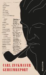 ISBN 9783835338579: Geheimreport