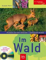 ISBN 9783835401853: Im Wald + CD