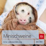 Minischweine – Eine Liebeserklärung