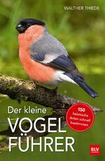 ISBN 9783835417212: Der kleine Vogelführer