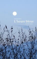 ISBN 9783837045130: L'heure bleue - Gedanken-Splitter