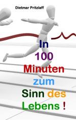 ISBN 9783837083491: In 100 Minuten zum Sinn des Lebens!