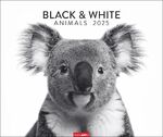 ISBN 9783839901328: Black & White Animals 2025