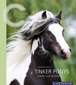 ISBN 9783840400254: Tinker Ponys - Irlands coole Schecken