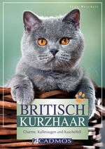 ISBN 9783840440021: Britisch Kurzhaar - Charme, Kulleraugen und Kuschelfell 2010