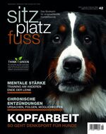 ISBN 9783840489433: SitzPlatzFuss, Ausgabe 42 - Kopfarbeit