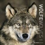 Wölfe 2015 Wölfe 2015