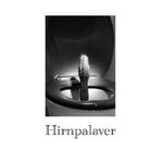 ISBN 9783842343528: Hirnpalaver