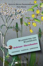 ISBN 9783842521889: Wildkräuter und Wildfrüchte Bodensee Oberschwaben - Erkennen, sammeln, anwenden