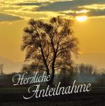 ISBN 9783843102223: Herzliche Anteilnahme-Kleine Perlen