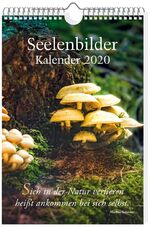 ISBN 9783843499491: Seelenbilder-Kalender 2020