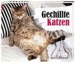 ISBN 9783845806815: Gechillte Katzen