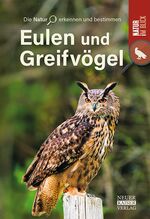 ISBN 9783846805008: Eulen und Greifvoegel