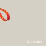 ISBN 9783851600513: Ballverlust