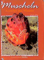 Muscheln – Juwelen des Meeres