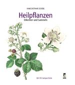 Heilpflanzen: Erkennen und Sammeln Hans Heilpflanzen: Erkennen und Sammeln Hans
