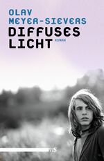 ISBN 9783863001896: Diffuses Licht – Roman