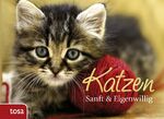 ISBN 9783863132521: Katzen - Sanft & Eigenwillig