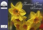 ISBN 9783865710055: Frühling /Spring /Printemps – Postkartenbuch