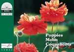 ISBN 9783865710130: Mohn/Poppies/Coquelicots: Postkartenbuch