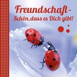 ISBN 9783866032651: Freundschaft- Schön, dass es Dich gibt!