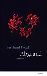 ISBN 9783866482517: Abgrund