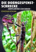 ISBN 9783866591844: Die Dorngespenstschrecke - Eurycantha calcarata