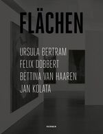 ISBN 9783866786615: Flächen – Künstlerinnen und Künstler am Seminar für Kunst und Kunstwissenschaft der TU Dortmund