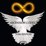 ISBN 9783867281461: Ascension Codes