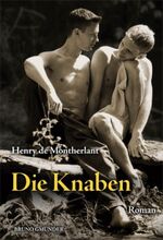 ISBN 9783867870580: Die Knaben