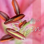 ISBN 9783868271133: Ein Strauß voller Segen / Hinrich C. G. Westphal / Buch / 64 S. / Deutsch / 2009 / Francke-Buchhandlung GmbH / EAN 9783868271133