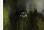 ISBN 9783868281958: Ulrike Crespo - Twilight