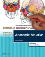 ISBN 9783868944396: Anatomie Malatlas