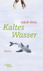 Kaltes Wasser – Roman