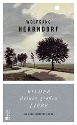 Wolfgang Herrndorf: Bilder deiner großen Wolfgang Herrndorf: Bilder deiner großen