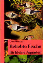 Beliebte Fische für kleine Aquarien