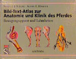 ISBN 9783877065532: Bild-Text-Atlas zur Anatomie und Klinik des Pferdes: Bewegungsapparat und Lahmheiten [Gebundene Ausgabe] Veterinärmedizin Vorklinik Tierheilkunde Tiermedizin Klinische Fächer Pathologie Erkrankungen F