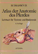 Atlas der Anatomie des Pferdes