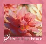 ISBN 9783881895781: Geheimnis der Freude