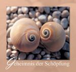 ISBN 9783881895835: Geheimnis der Schöpfung